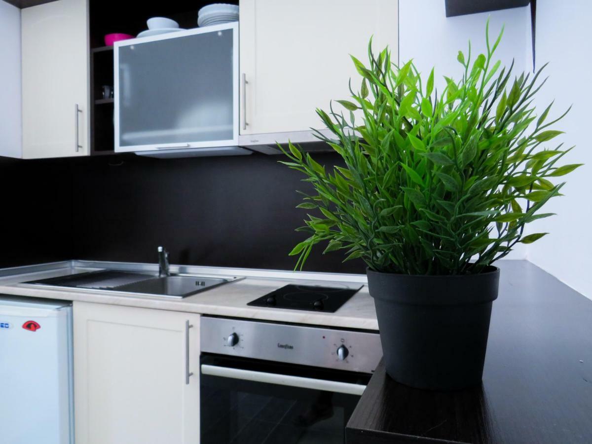 Flora Daisy Apartment Nr 28 Borovets Bagian luar foto